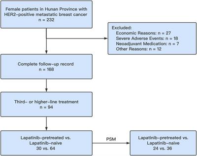 The Efficacy of Pyrotinib as a Third- or Higher-Line Treatment in HER2-Positive Metastatic Breast Cancer Patients Exposed to Lapatinib Compared to Lapatinib-Naive Patients: A Real-World Study